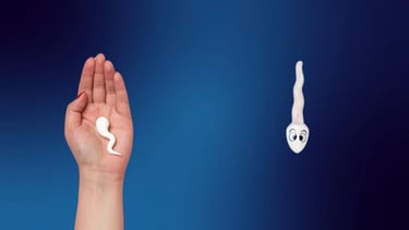 1 दिन में कितना स्पर्म बनता है?