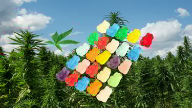 a colorfully colored paper cutout of gummy gummy gummy gummy