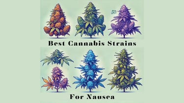 a bunch of cannabis strains and cannabis strains