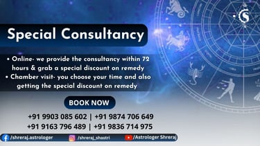 SPECIAL CONSULTANCY