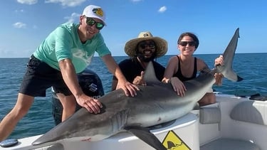 Shark Fishing