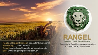 Máquinas agrícolas colhendo campos de cana-de-açúcar ao pôr do sol para os serviços de agronegócio 