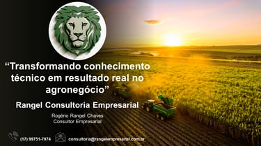 Tratores colhendo culturas ao pôr do sol para a Rangel Business Consulting no setor de agronegócios.