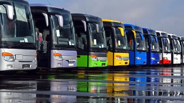 A row of colorful charter buses parked on a wet asphalt lot with vibrant reflections.