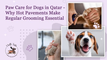 Paw Care for Dogs in Qatar: Why Hot Pavements Make Grooming Essential