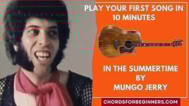 Guitar Chords: "In The Summertime" by Mungo Jerry