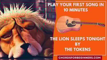 Simple Chords For Beginners: "The Lion Sleeps Tonight" by The Tokens