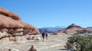 Moose and Bugs crossing a red and beige sandstone expanse in Canyonlands National Park.