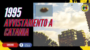 Avvistamento a Catania