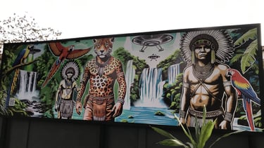 Obra de Sérgio Astral exibida na Calçada da Cultura em Barra do Garças.