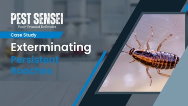 case study german cockroach infestation in an apartment