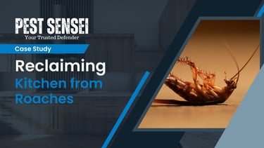 case study on cockroach extermination in a johor bahru house