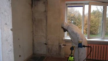 Pelėsio ir medžio grybo "Trobagrybio" naikinimo paslauos su patirtimi 25metų.