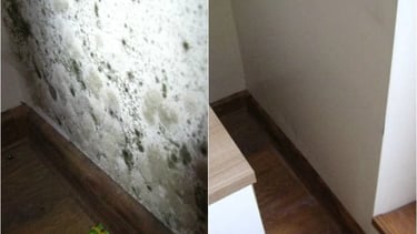 Pelėsio naikinimo paslaugos, pelėsio naikinimas, pelesio šalinimas, pelėsis