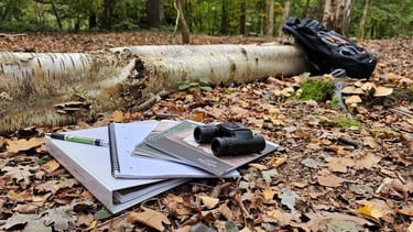 woodland floor with fallen tree with books and a bag