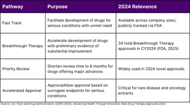 FDA Expedited Approval Pathways — 2024 Summary