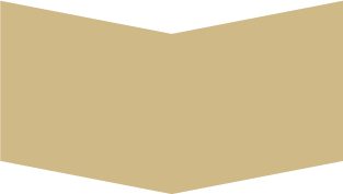Bronze Sponsorship