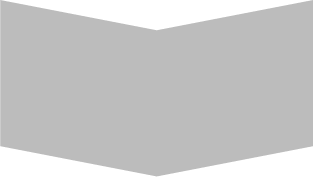 Silver Sponsorship