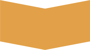 Gold Sponsorship