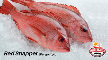 Red Snapper