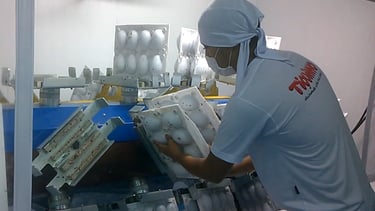 Centrifuga Livros Duplos