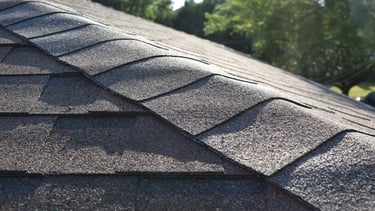 Atlas Shingle Roof