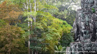 Templo Bayon
