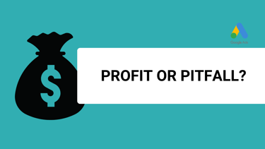 a banner with a title profit or pitfall and a google ads logo
