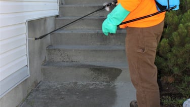 how to keep bugs out of house