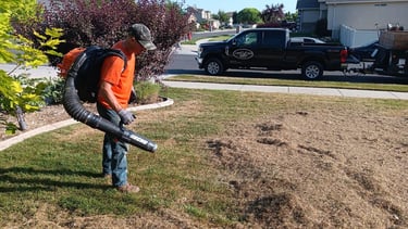 Lawn Power Raking and Thatch removal