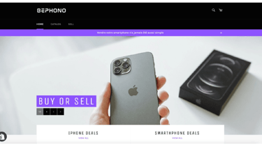 web design and branding services