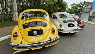 fusca bizorrao 1600S