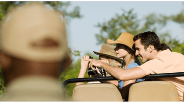 safari packages in ranthambore national park