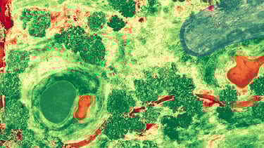a green and red image of a cell phone