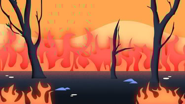 a fire in a forest with black trees dying