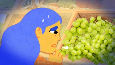 a blue-haired girl looks to some grapes with a concerned face