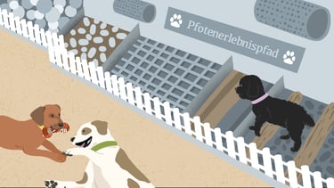 dogs playing with each other in a dog kennel. a black dog in a "Pfotenerlebnispfad"