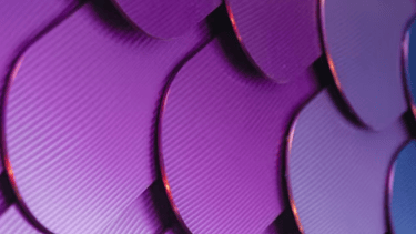 Destaque de marca para garantir visibilidade no mercado