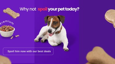 pets banner idea - spoil