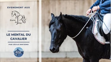 Équitation près de Genève, Les Écuries du Pêcher