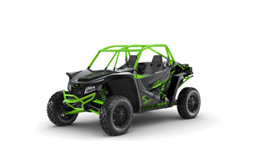 arctic cat