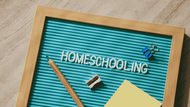 why more homeschooling options aren't always better