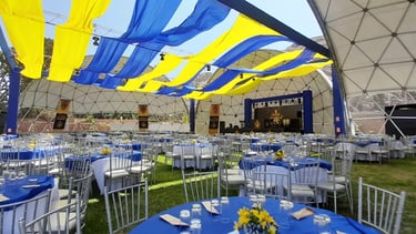 Fiestas VPX