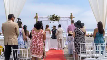Bodas VPX