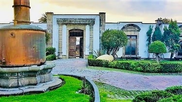 Ciudad Retoño