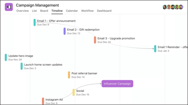 Asana Timeline View