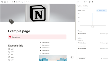 Notion Analytics Tab