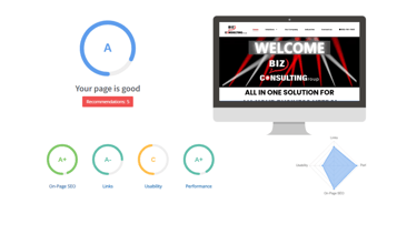 Website Assessment Report Request