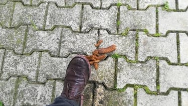 shoe about to step in dog poop