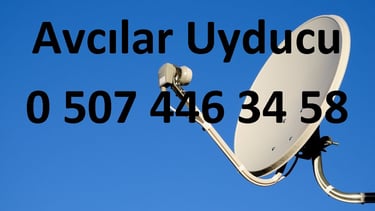 avcılar uyducu çanak anten Televizyon servisi